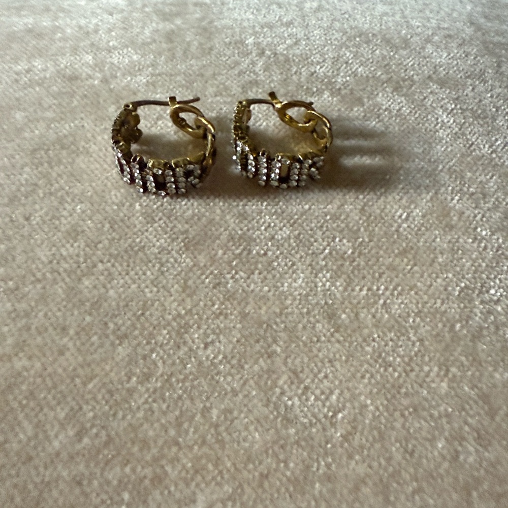 Elegant Gold/ Silver Hoop Earrings